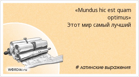 Латинские фразы цитаты Латинские фразы цитаты