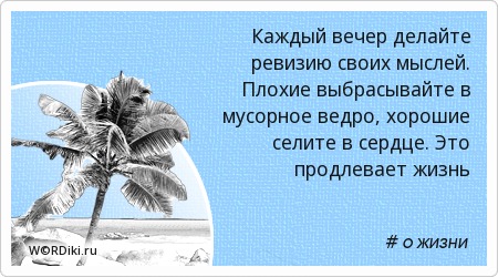 Цитаты про вечер и мысли Цитаты про вечер и мысли