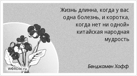 Когда нет слов афоризмы Когда нет слов афоризмы