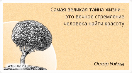 Цитаты о стремлении к красоте Цитаты о стремлении к красоте