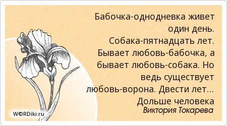 Красивые статусы про Маму Конспект процедуры массажа