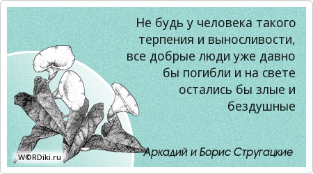 Выносливость афоризм Выносливость афоризм