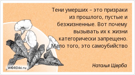 Про мою тень цитаты Про мою тень цитаты