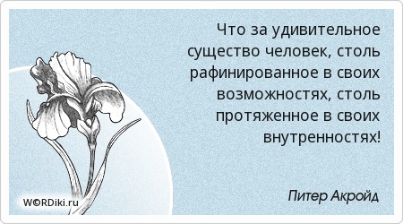 Что за существо человек цитаты Что за существо человек цитаты