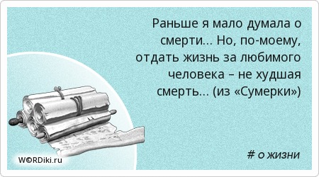 Роскошный праздник свадьба в цвете Марсала Программы для страховых брокеров, агентов и