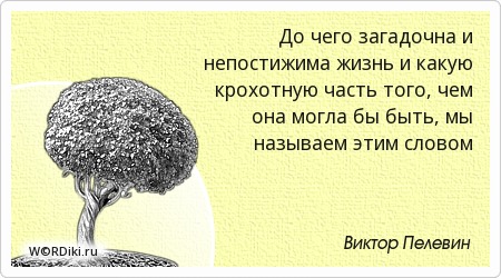 Афоризмы о загадочности Афоризмы о загадочности