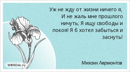 Вечер любви цитаты Вечер любви цитаты