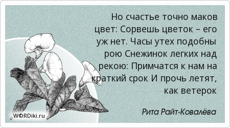 Про маки цветы цитаты Про маки цветы цитаты
