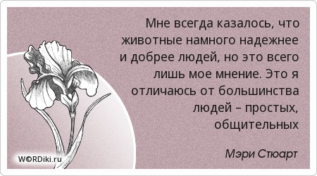 Статусы лучшие новые о любви Статусы лучшие новые о любви