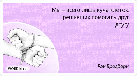 Рука друга афоризм Рука друга афоризм