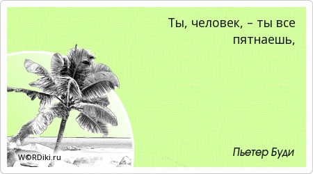 Порядок в жизни цитаты Порядок в жизни цитаты
