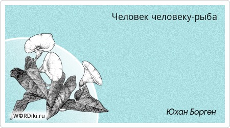 Цитата мы это то что мы едим кто сказал Цитата мы это то что мы едим кто сказал