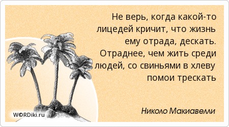 14809586253906965584.jpg