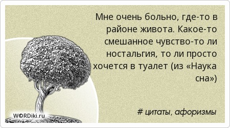 Цитаты и афоризмы о себе хорошие Цитаты и афоризмы о себе хорошие