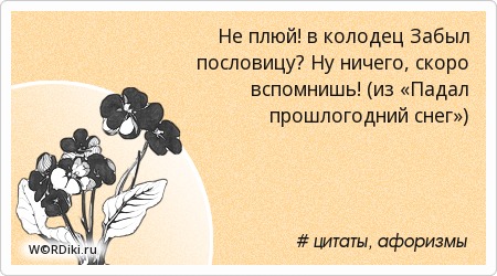 Пословица не плюй в колодец из которого пить Пословица не плюй в колодец из которого пить