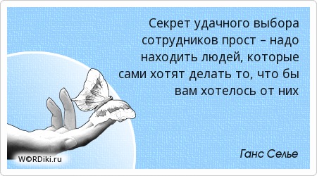 Хорошие цитаты о выборах Хорошие цитаты о выборах
