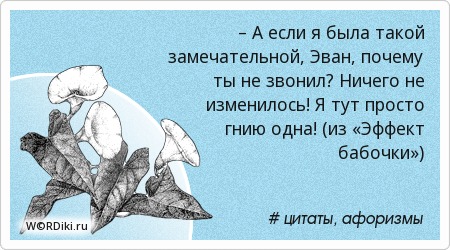 Цитата из эффекта бабочки Цитата из эффекта бабочки