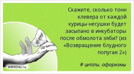 Афоризмы о цыплятах Афоризмы о цыплятах