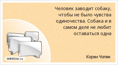 для чего люди заводят домашних животных. человек заводила. уедем в деревню человека заведем. завести человека. человек заводила.