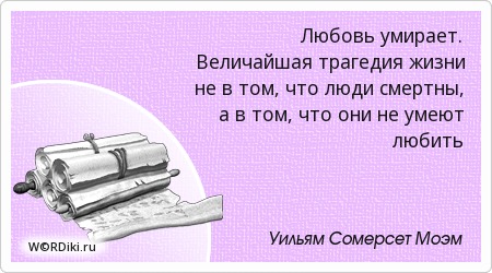 зимняя вишня кемерово. арт мысли цитаты. трагедии в жизни человека. методика вавилова. жизненная трагедия.