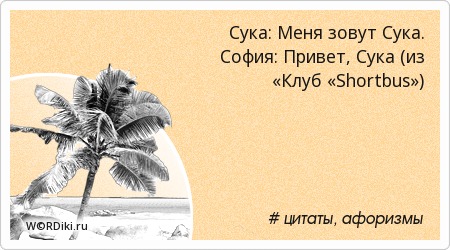 Привет сук