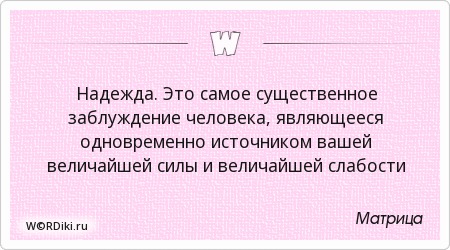 Юмор про путешествия. Последний мем. Велосипед мем подарок. Велосипед в подарок. Прикольные визитки.